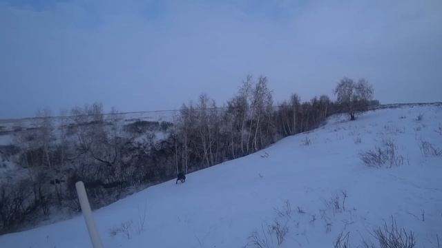 Охота на зайца русака. Сезон 2022-2023 №156. смотреть онлайн