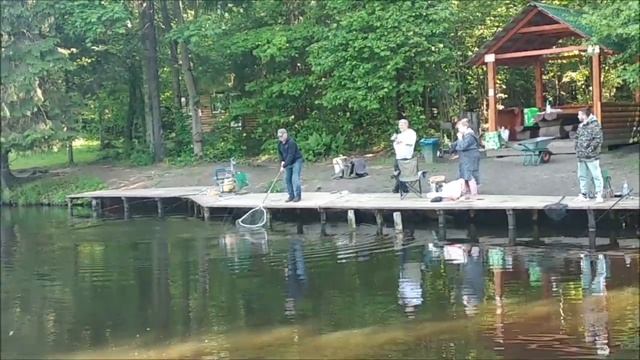 Вываживание крупного осетра. Клёвое место, Лосиный остров, нижний водоём. смотреть онлайн