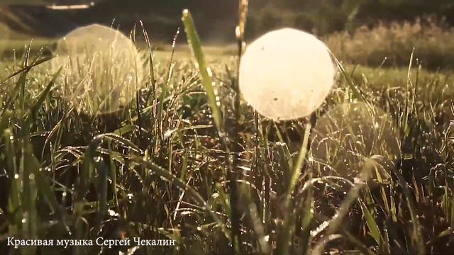 Аккордеон и оркестр. Музыка Сергея Чекалина смотреть онлайн