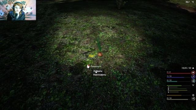 ДЕРЕВНЯ ► The infected v13.0.8. прохождение ►9 смотреть онлайн