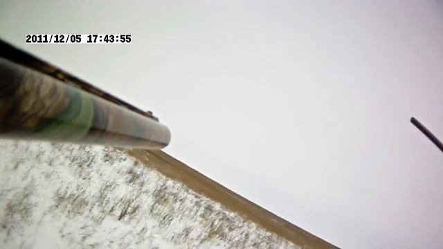 Охота на косулю смотреть онлайн