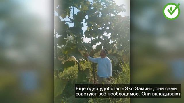 Наманганлик мижозимизнинг натижаларини кўришни хоҳлайсизми? @ekozaminpavlovniya смотреть онлайн