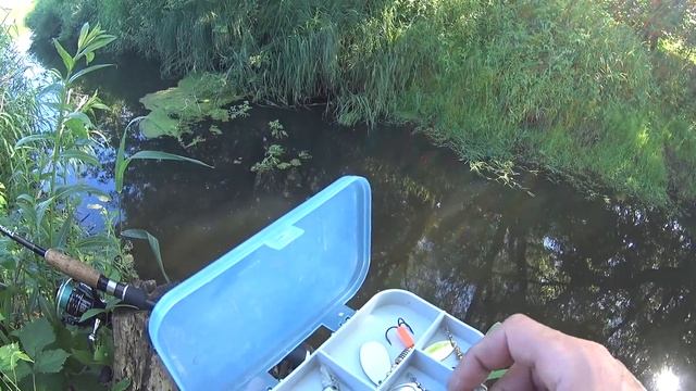 Вот так рыбалка в ручье!!!В этом ручье полно рыбы!Рыбалка на спиннинг. смотреть онлайн