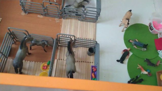 Обзор конюшни/для новичков на канале/изменения/что нового/🍒Viki TV 🍒 смотреть онлайн