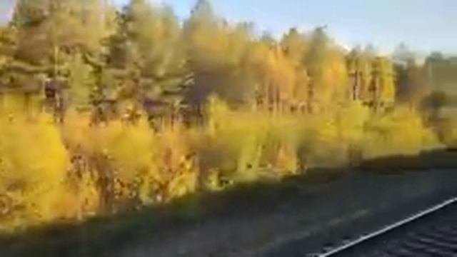 Под стук колес. Ранее утро. Лойга - Ломоватка