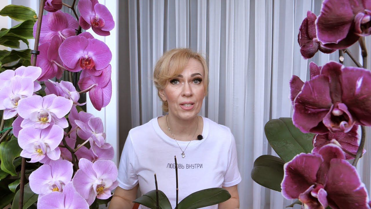 Хватит ТРАВИТЬ СЕБЯ, ОКРУЖАЮЩИХ и свои ОРХИДЕИ! НЕОПРАВДАННОЕ применение ПРЕПАРАТОВ! смотреть онлайн