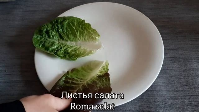 Ищите интересный рецепт на праздничныйстол?// Рецепт очень простого салата! смотреть онлайн