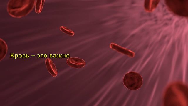 Каковы пределы человеческих возможностей. На что способен организм человека на грани выживания.