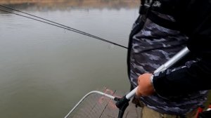 Лучший спиннинг для лодки и берега! Обзор Yamaga Blanks Various Magnum 78MH