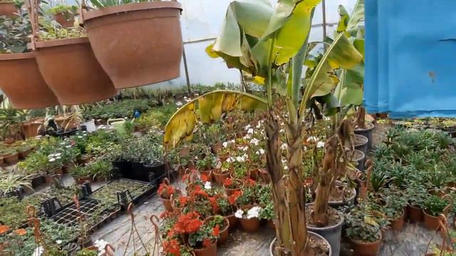 К открытию туристического сезона готовы? | Будем готовы! | Я Управдомша смотреть онлайн