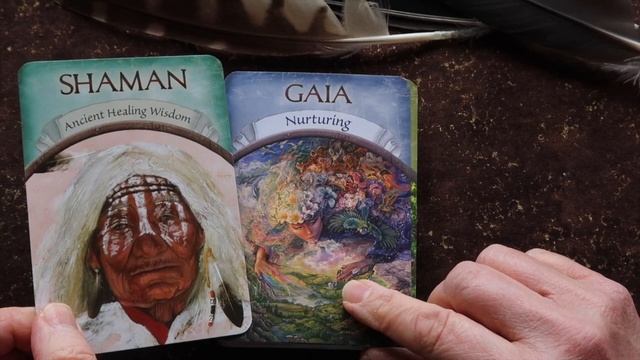 Shamanic Decks to Create a Medicine Wheel Spread смотреть онлайн