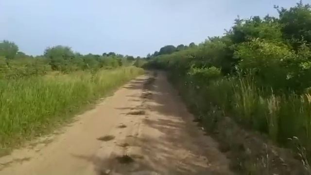 Подруга спала а парень рад стараться/Сладкая Любовь