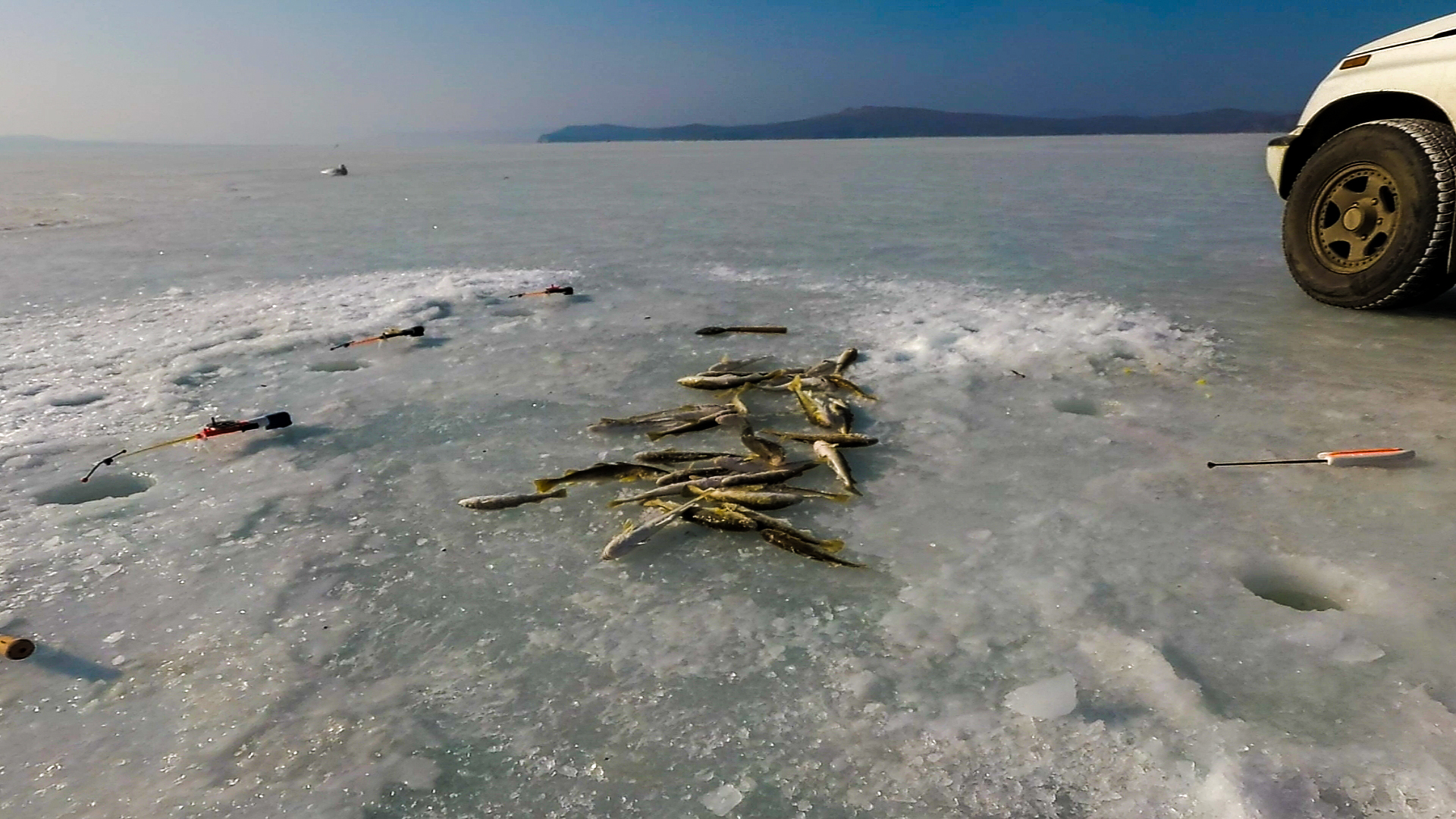 Ловля НАВАГИ со льда смотреть онлайн