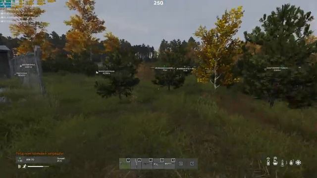 STREAM | DayZ ОПГ ЧЕРНОРУСИ) смотреть онлайн