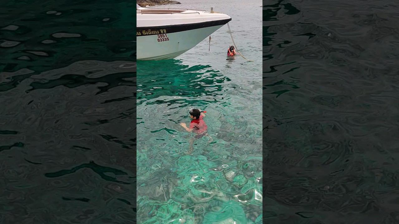 Снорклинг Рая Корал экскурсия Рача. Таиланд 2024 за 50 тысяч рублей с перелетом. @tutsi-dieti смотреть онлайн