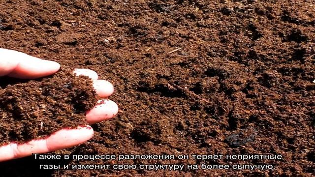 Какой навоз лучше для удобрения огорода смотреть онлайн