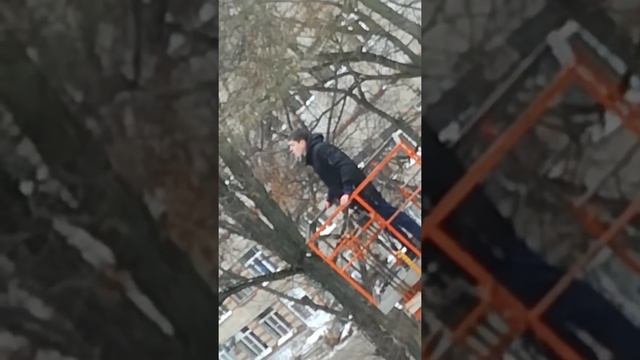 Спасение грача с дерева в Воронеже смотреть онлайн