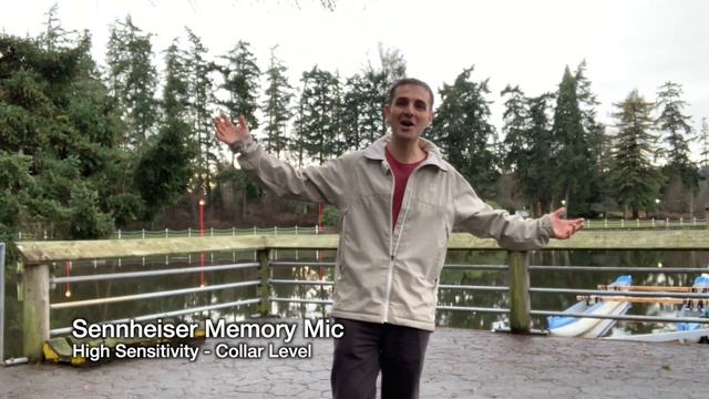 iPhone XS Microphone vs Shure MV88 vs Shure MVL vs Sennheiser Memory Mic смотреть онлайн