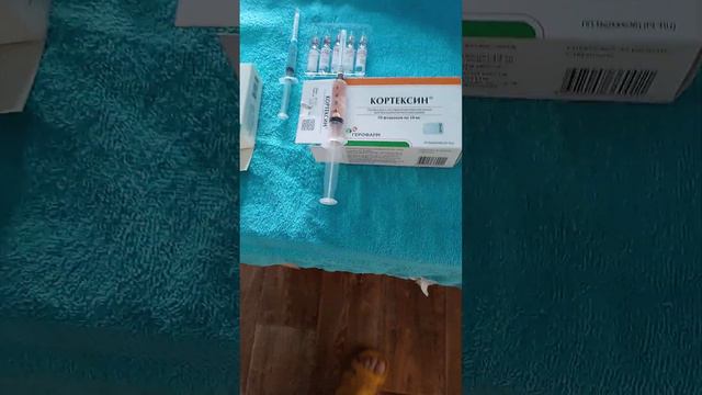 новая жизнь у меня много дел с утра а вечером еще больше. смотреть онлайн