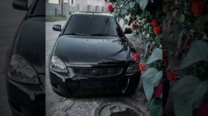 Моя панда, лезгинка!