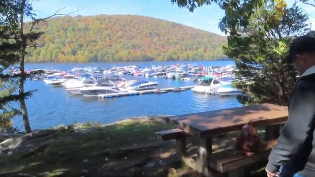 ???? ЗОЛОТАЯ ОСЕНЬ?ЛЕС/КАК ЖЕНЯ СОБИРАЕТ ГРИБЫ/ЗАВТРАК В ЛЕСУ/ПОДВЕРНУЛА НОГУ/КИТАЙСКАЯ ЕДА/ТАНЕЦ смотреть онлайн