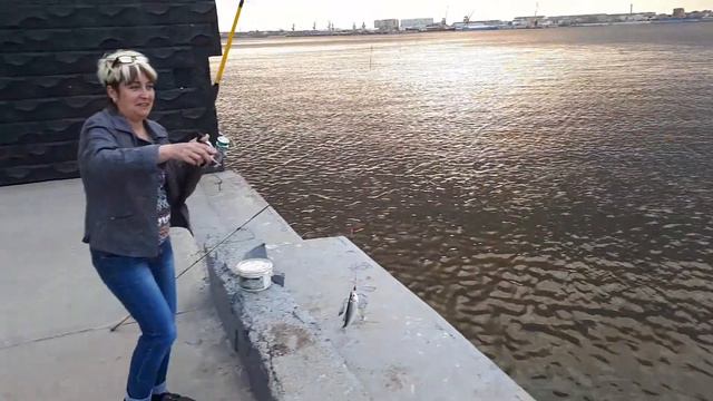 Ловим воблу на Набережной г. Астрахань 15 апреля 2019г. смотреть онлайн