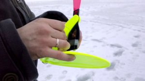 Платная зимняя рыбалка в Станьково (Беларусь, Минская область) - как хорошо все начиналось