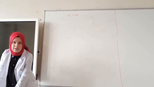 5. Sınıf Matematik Ders 2 (1. Hafta) смотреть онлайн