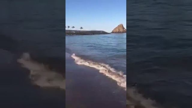 Periscope эмоции от моря. Отдых на Фуджейре смотреть онлайн