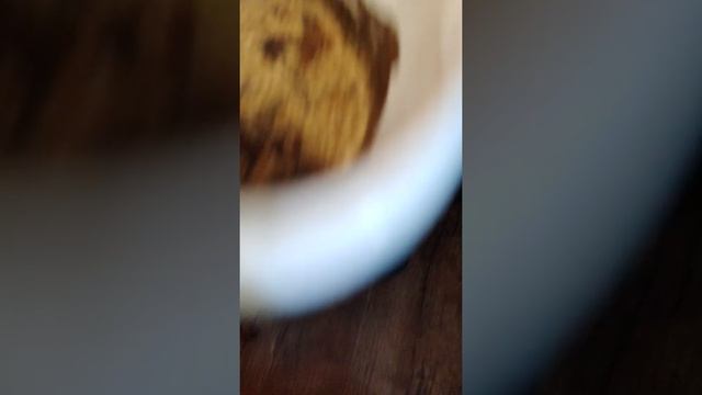 Biocompet composter смотреть онлайн