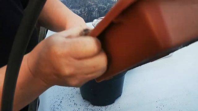 Как я храню каллы зимой в домашних условиях смотреть онлайн