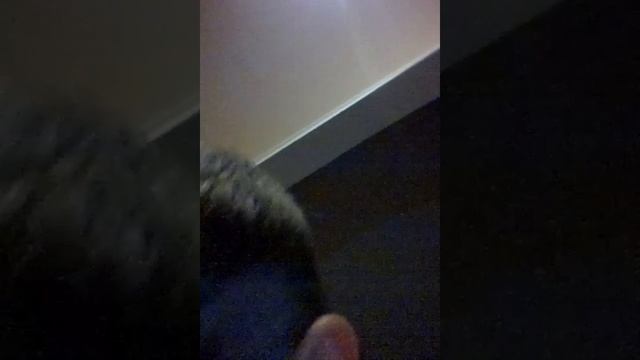 Как ноутбук появляется сам смотреть онлайн