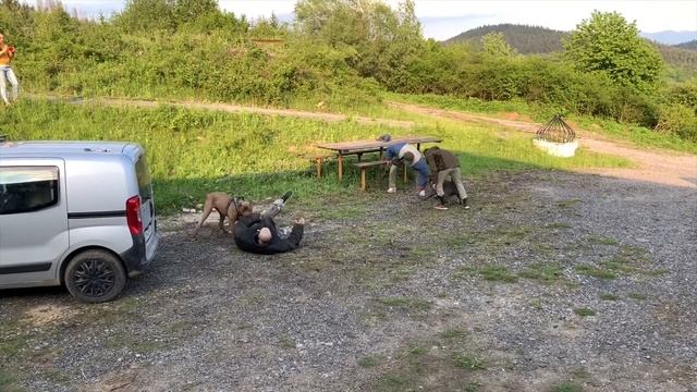 Red Cross Bandog kennel смотреть онлайн