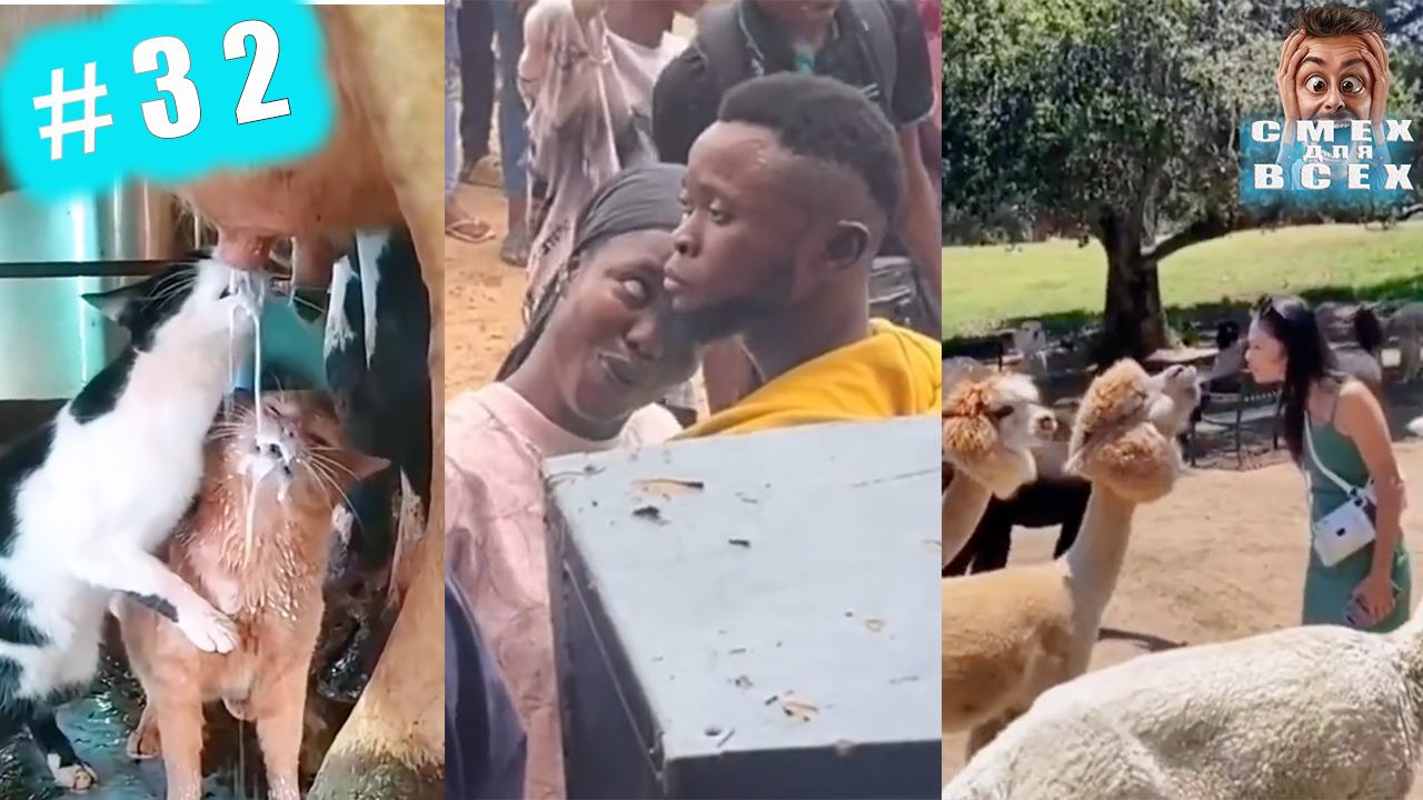 ПРИКОЛЫ 2023 СМЕШНЫЕ ВИДЕО ЧУДИКИ ИЗ ТИК ТОК СМЕХ ДЛЯ ВСЕХ №32