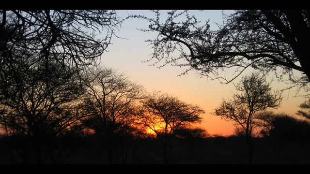 Adiemus - African Tango смотреть онлайн