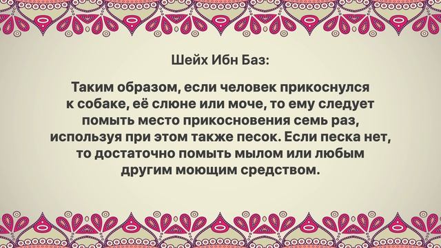Шейх Ибн Баз - Что делать, если прикоснулся к собаке? смотреть онлайн