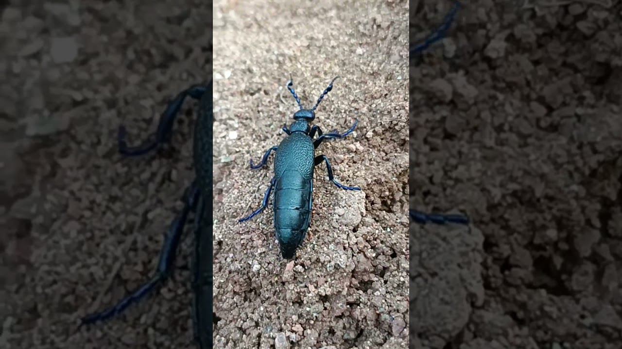 11 мая 2023 г. смотреть онлайн