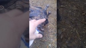 Соболь на полный привод. Раздатка ГАЗ 66.