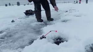 Снова дамба. Порт Бронка.Корюшка. Зачетная рыбалка