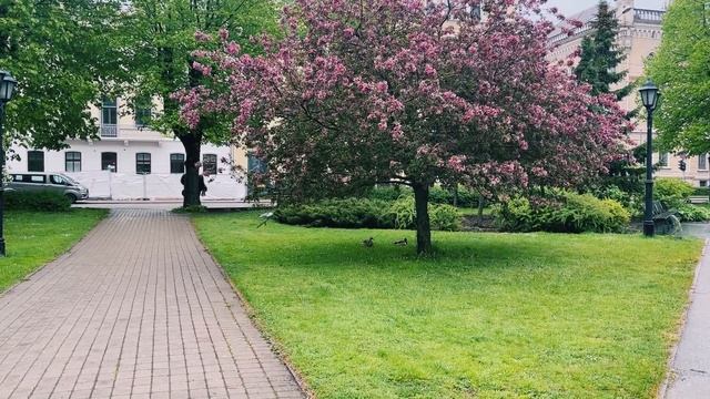 правда про мои истерики | я не справляюсь | моё состояние тогда и сейчас смотреть онлайн