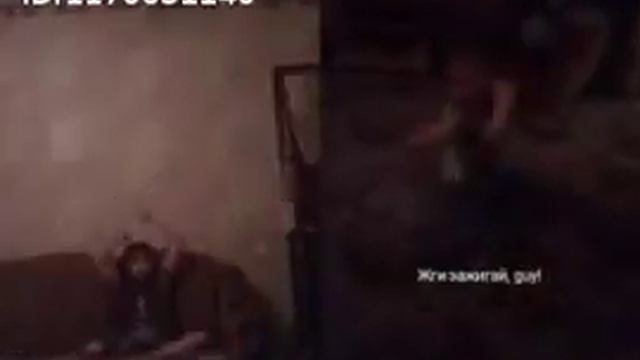 Если любишь животных 💜 и #животные смотреть онлайн