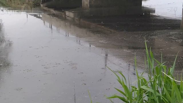 Рыбалка в Арамили. 3.08.2021 смотреть онлайн