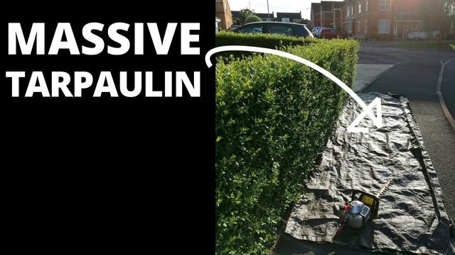 Hedge Trimming Hack, Making It Quick And Easy To Cut Your Hedges