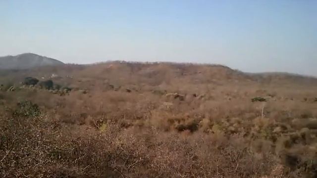 Gir forest areal view смотреть онлайн