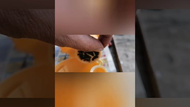 снятие топливного насоса рено клио 3 смотреть онлайн