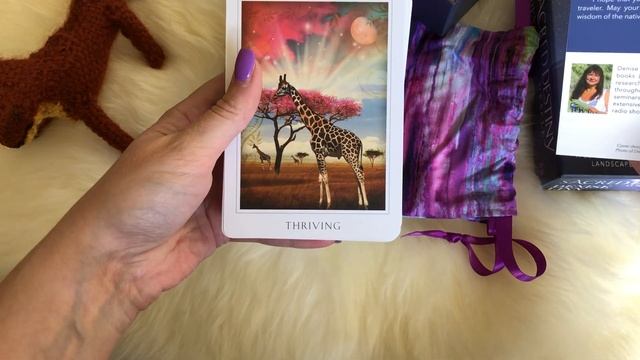 Current Favourite Mass Market Oracle Decks смотреть онлайн
