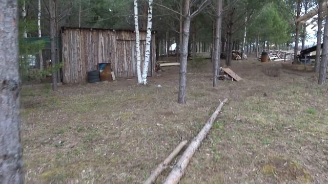 Сад в лесу. В гостях у Оксаны смотреть онлайн