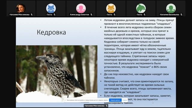 Ананин А. А. Птицы зимой в Баргузинском заповеднике смотреть онлайн