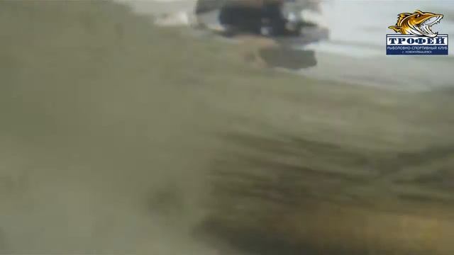 Первая встреча клуба 26 02 с Купино открытие сезона смотреть онлайн