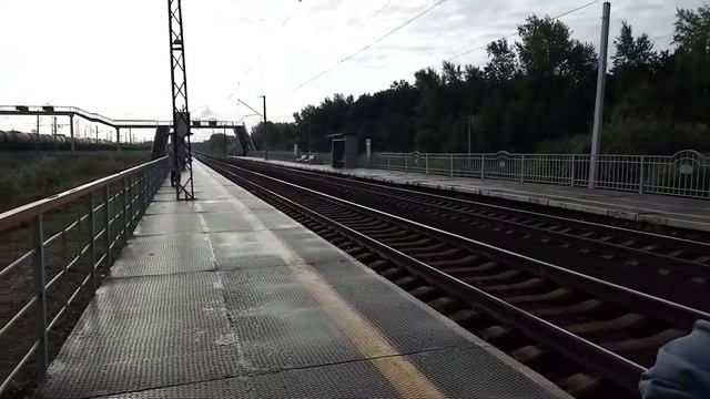 Ждем электричку! Едем по грибы! смотреть онлайн